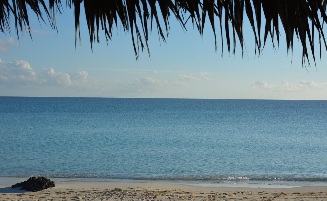 Pigeon Cay Beach Club Arthur Town 外观 照片